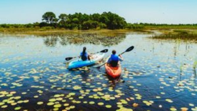 Kayaking and Paddleboarding at Savannas Preserve State Park