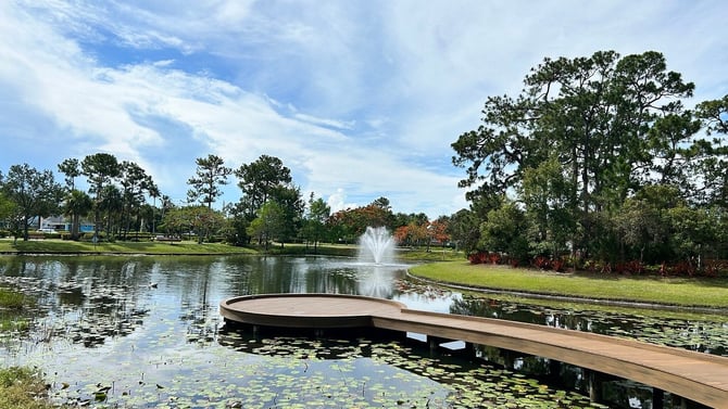 What’s on at the Botanical Gardens in November?