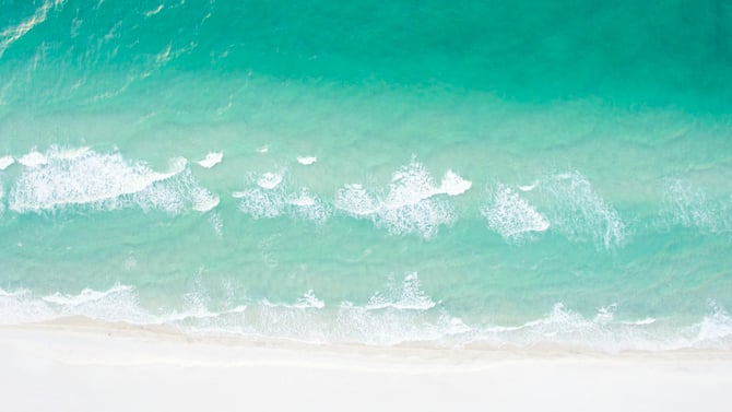 Jensen Beach Sea Turtle Nesting Season: What to Know